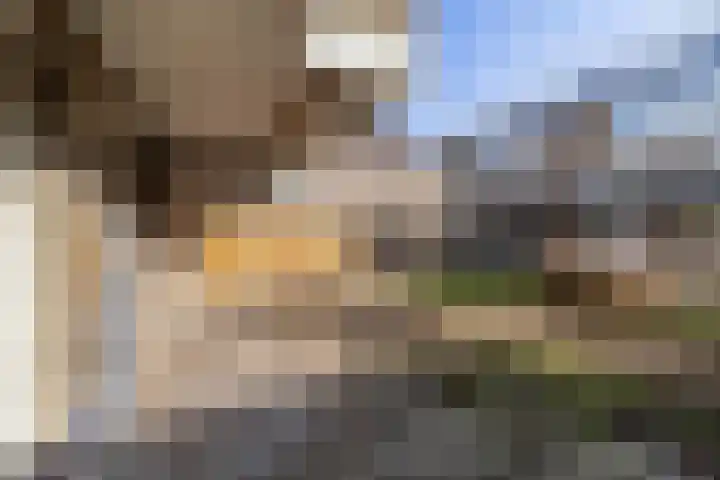 Antilopespoor 472 Maarssen thumbnail 30