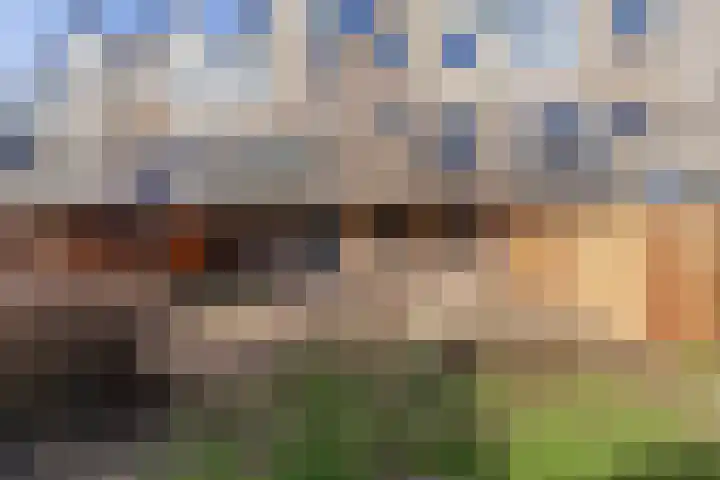 Antilopespoor 472 Maarssen thumbnail 32
