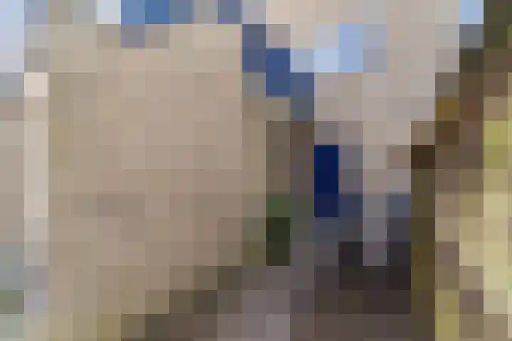 Antilopespoor 472 Maarssen thumbnail 33
