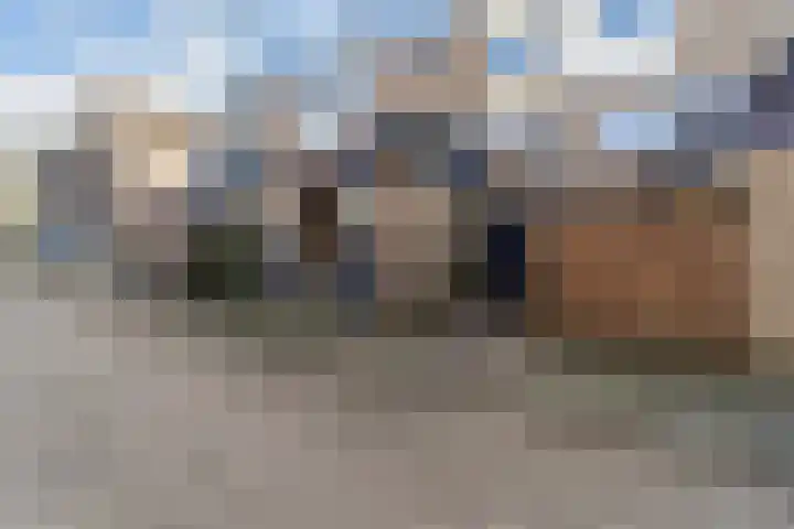 Antilopespoor 472 Maarssen thumbnail 34