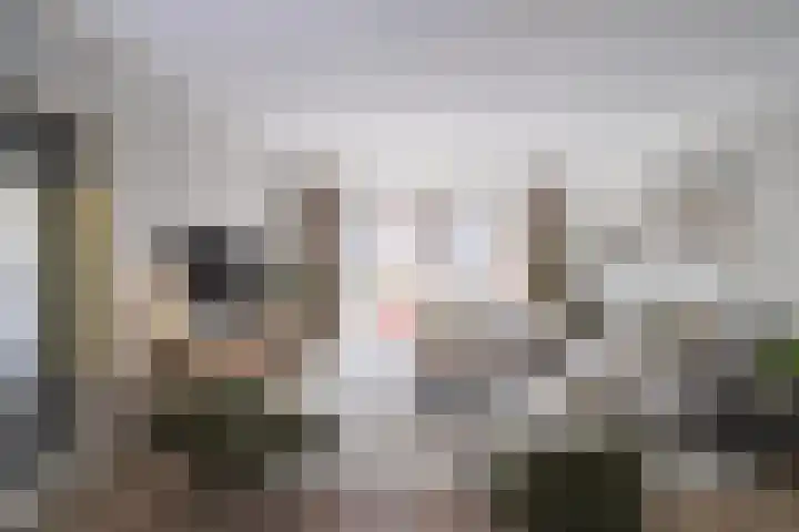 Antilopespoor 472 Maarssen thumbnail 8