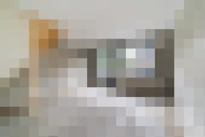 Antilopespoor 510 Maarssen thumbnail 10