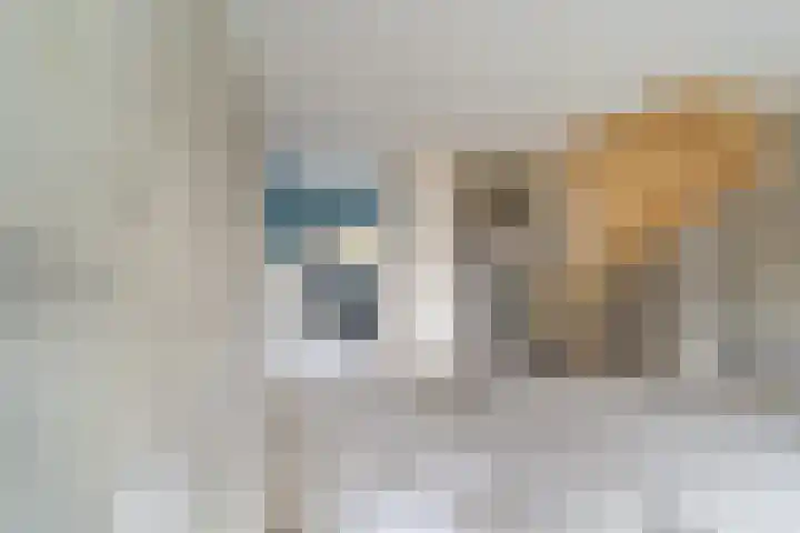 Antilopespoor 510 Maarssen thumbnail 11
