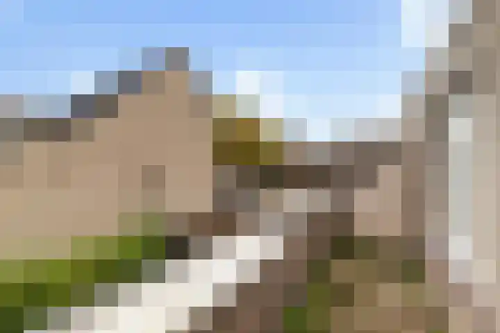 Antilopespoor 510 Maarssen thumbnail 8