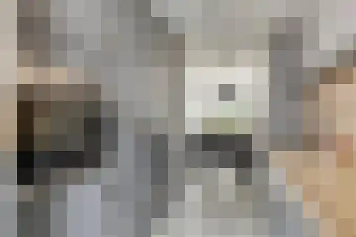 Antilopespoor 512 Maarssen thumbnail 14