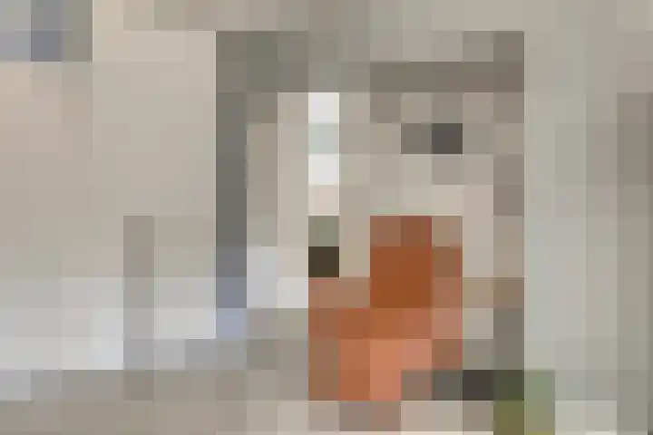Antilopespoor 512 Maarssen thumbnail 15