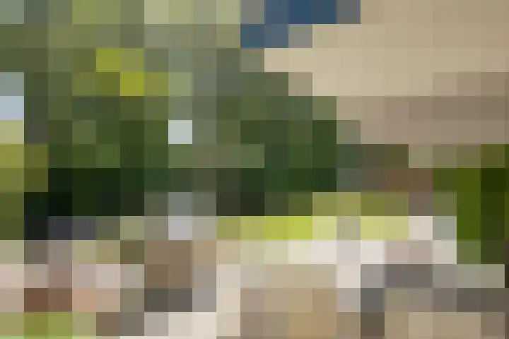 Antilopespoor 512 Maarssen thumbnail 23