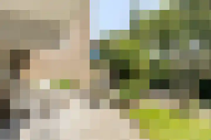 Antilopespoor 512 Maarssen thumbnail 24