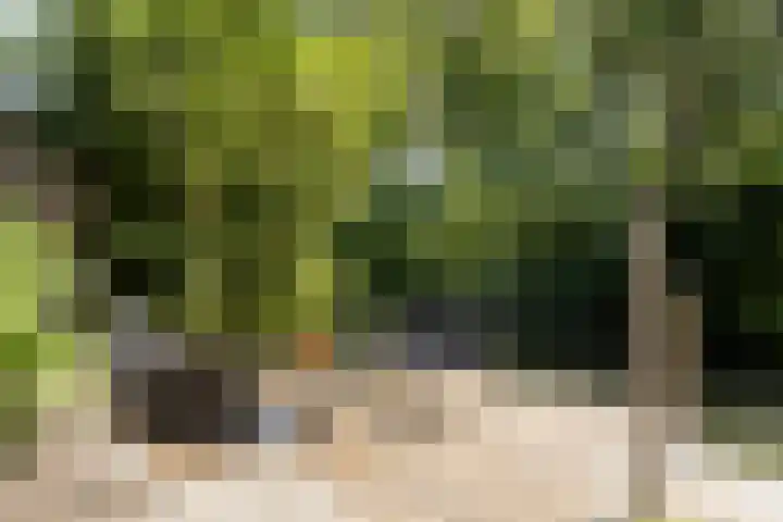 Antilopespoor 512 Maarssen thumbnail 25
