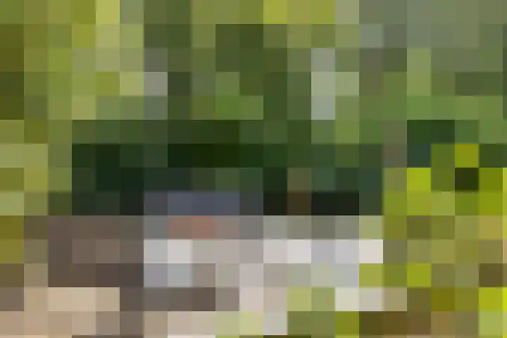 Antilopespoor 512 Maarssen thumbnail 26