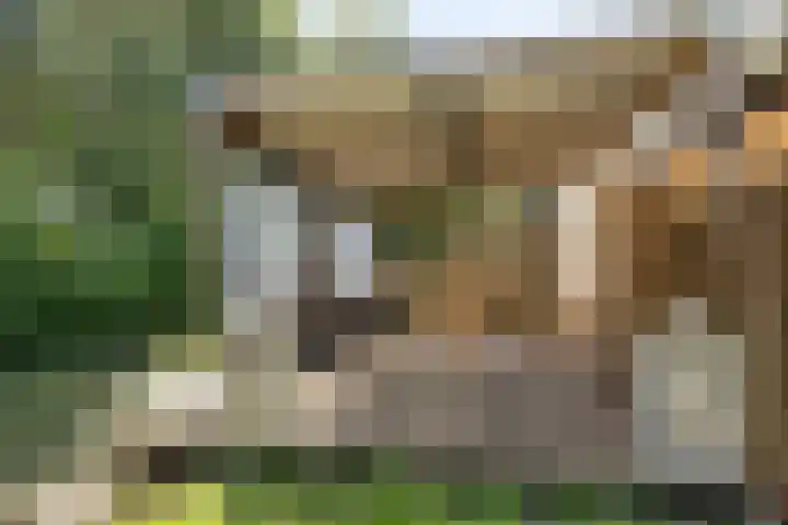 Antilopespoor 512 Maarssen thumbnail 29