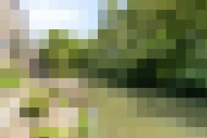 Antilopespoor 512 Maarssen thumbnail 31