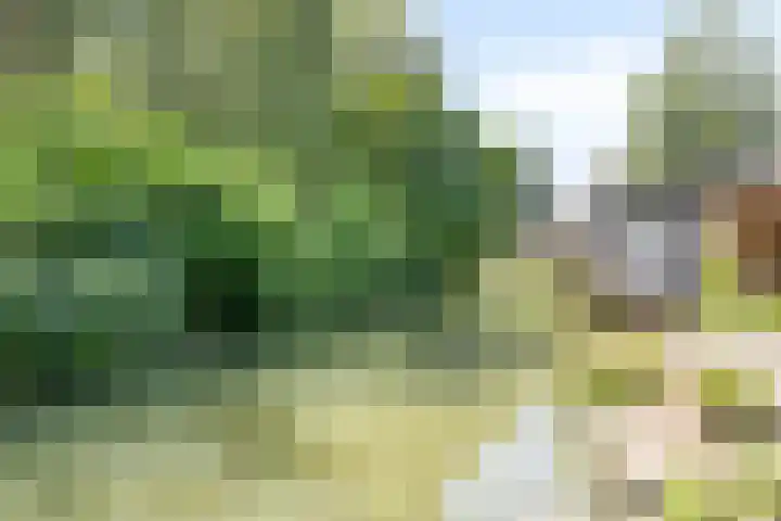 Antilopespoor 512 Maarssen thumbnail 32