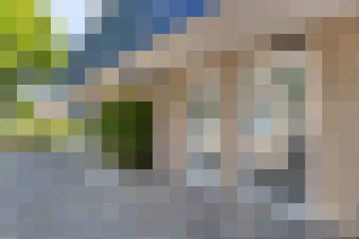 Antilopespoor 512 Maarssen thumbnail 4