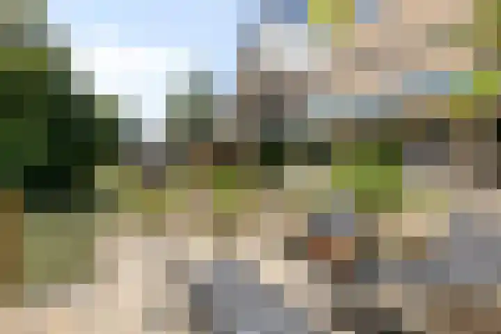 Antilopespoor 512 Maarssen thumbnail 41