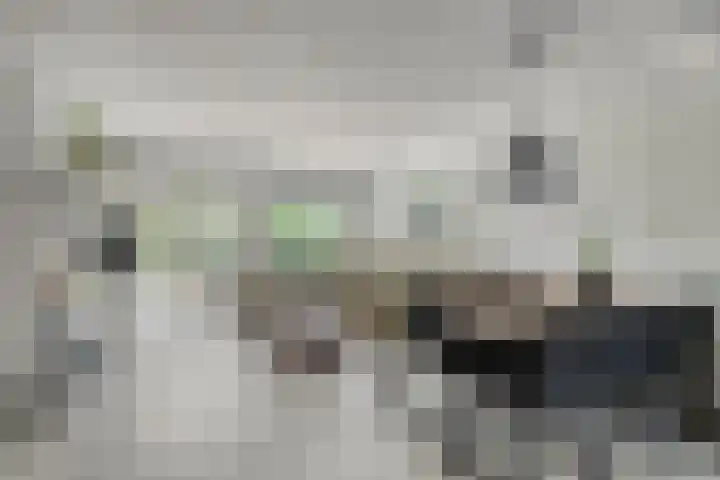 Antilopespoor 512 Maarssen thumbnail 6