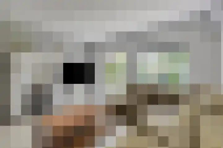 Antilopespoor 512 Maarssen thumbnail 8