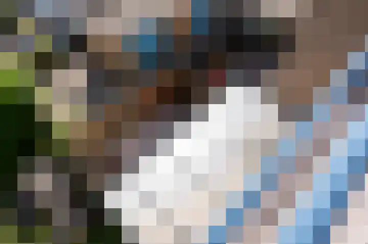 Antilopespoor 52 Maarssen thumbnail 31