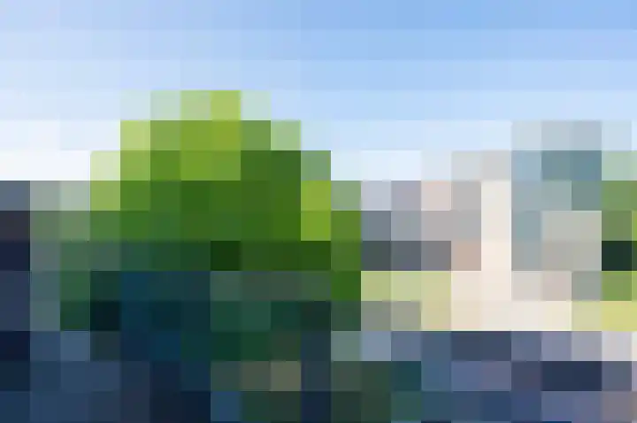 Antilopespoor 52 Maarssen thumbnail 35