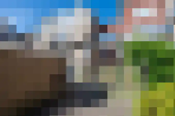 Antilopespoor 52 Maarssen thumbnail 39
