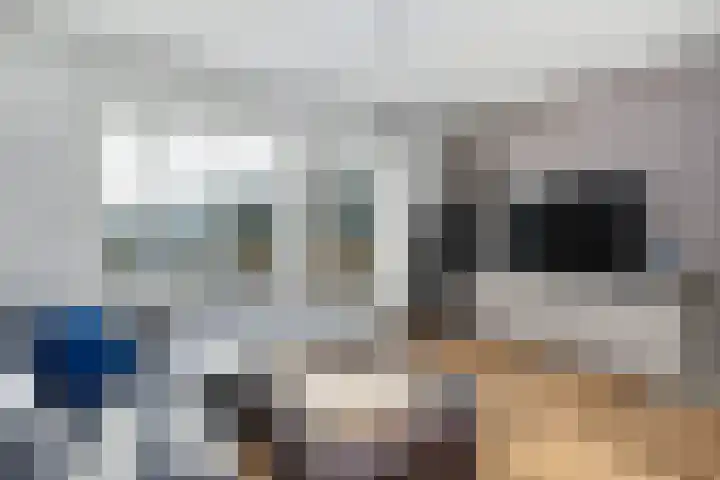Antilopespoor 526 Maarssen thumbnail 10