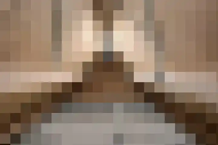 Antilopespoor 526 Maarssen thumbnail 26