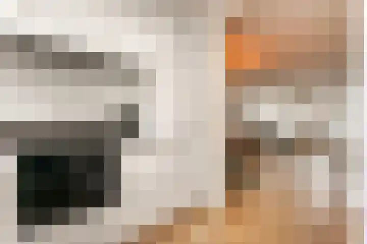 Antilopespoor 55 Maarssen thumbnail 12