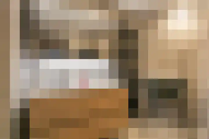 Antilopespoor 55 Maarssen thumbnail 19