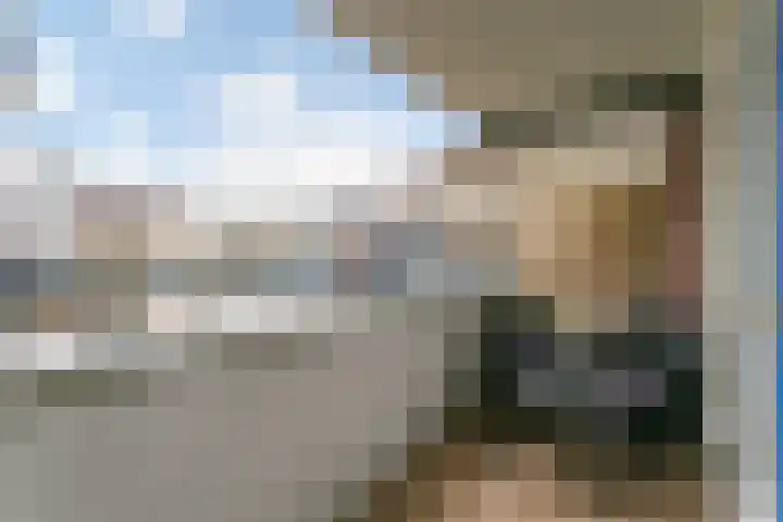 Antilopespoor 55 Maarssen thumbnail 22