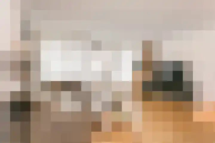 Antilopespoor 55 Maarssen thumbnail 5