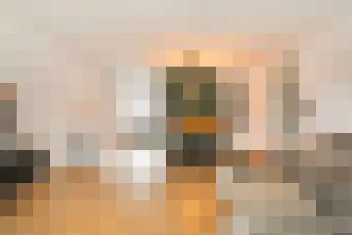 Antilopespoor 55 Maarssen thumbnail 8
