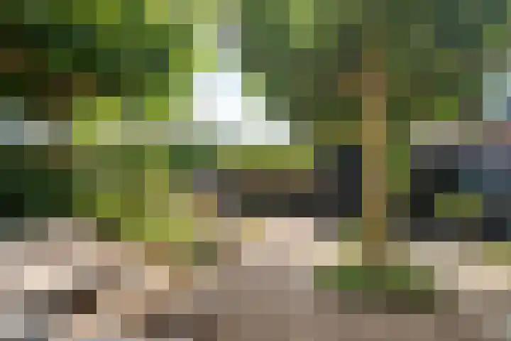 Antilopestraat 1 Almere thumbnail 14