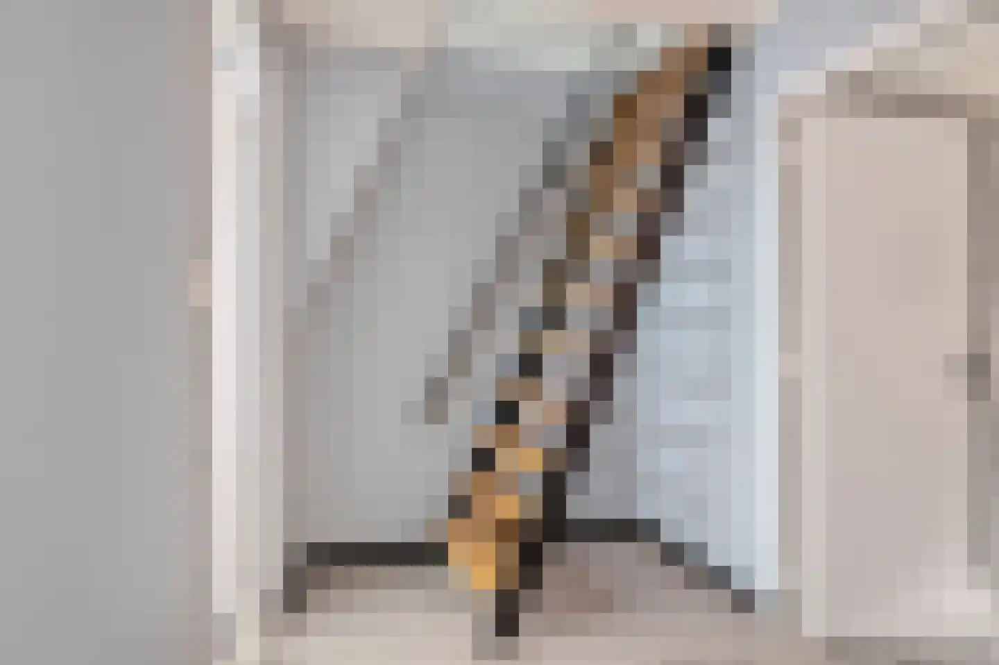 Antilopestraat 18 Rotterdam thumbnail 20