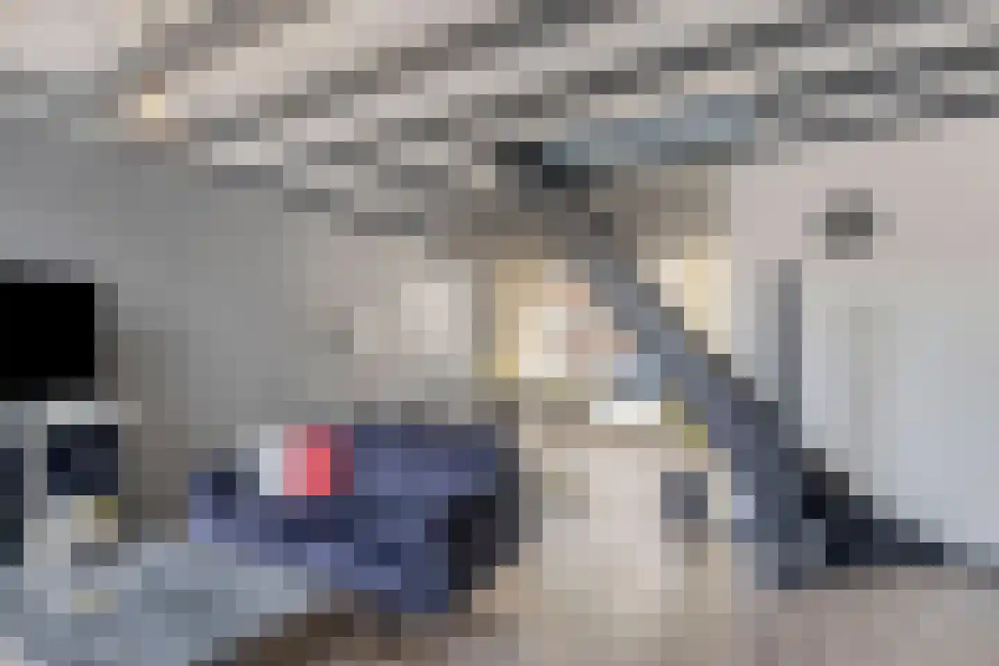 Antilopestraat 18 Rotterdam thumbnail 6