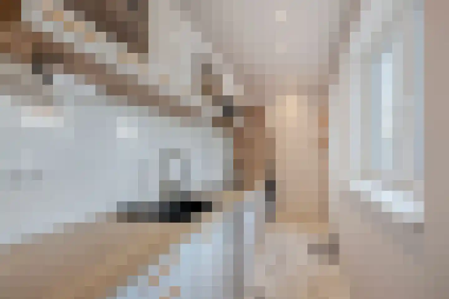 Antilopestraat 18 Rotterdam thumbnail 8