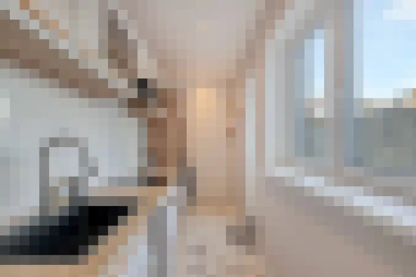 Antilopestraat 18 Rotterdam thumbnail 9