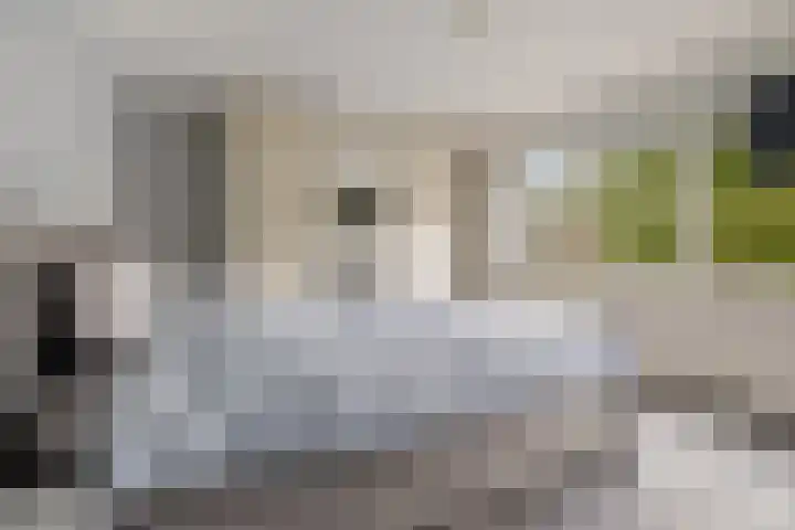 Antilopestraat 3 Almere thumbnail 23