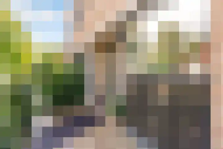 Antilopestraat 3 Almere thumbnail 43