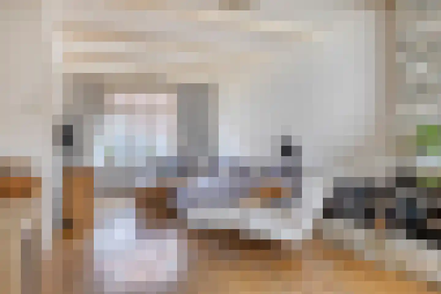 Antilopestraat 32 Rotterdam thumbnail 13