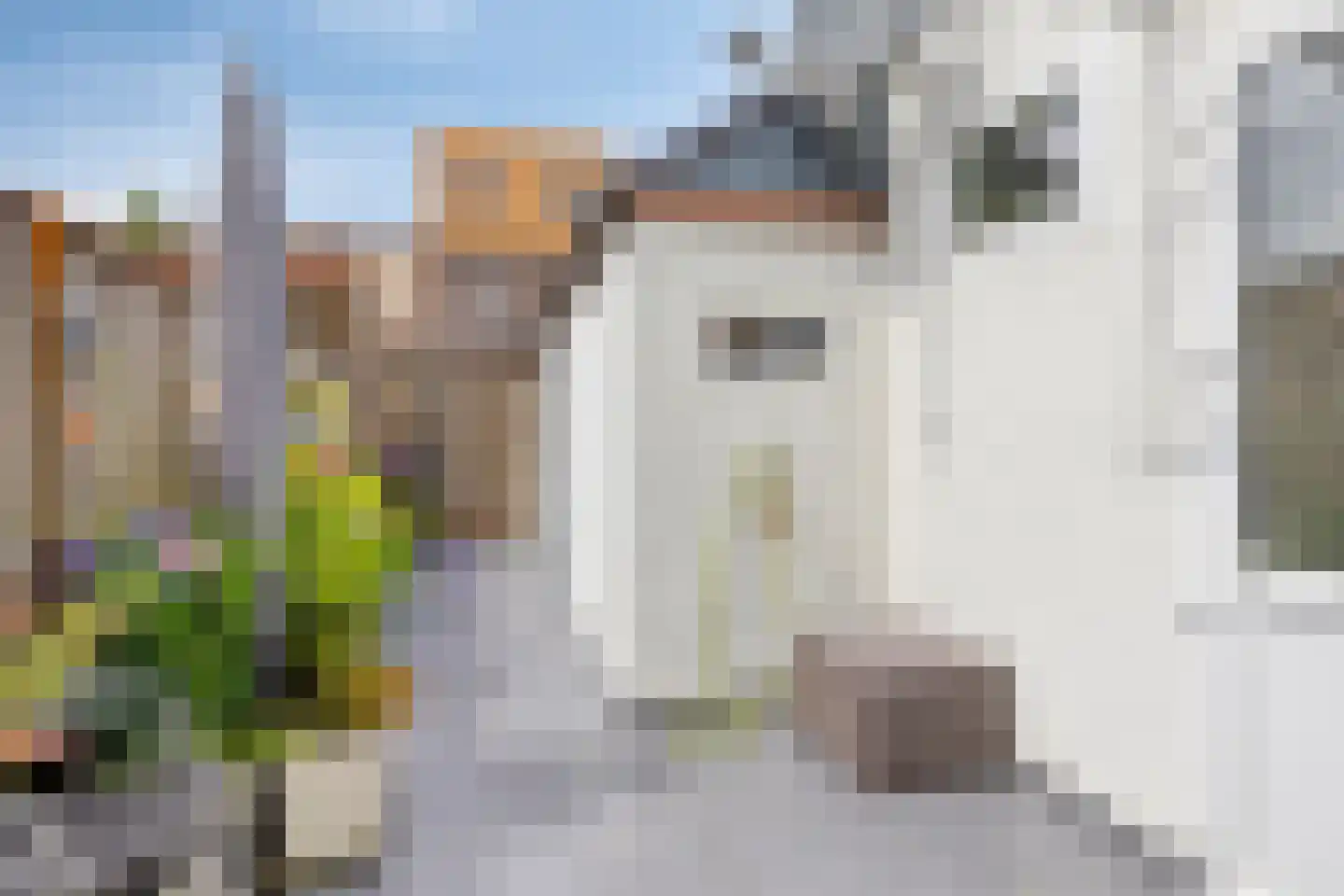 Antilopestraat 32 Rotterdam thumbnail 23