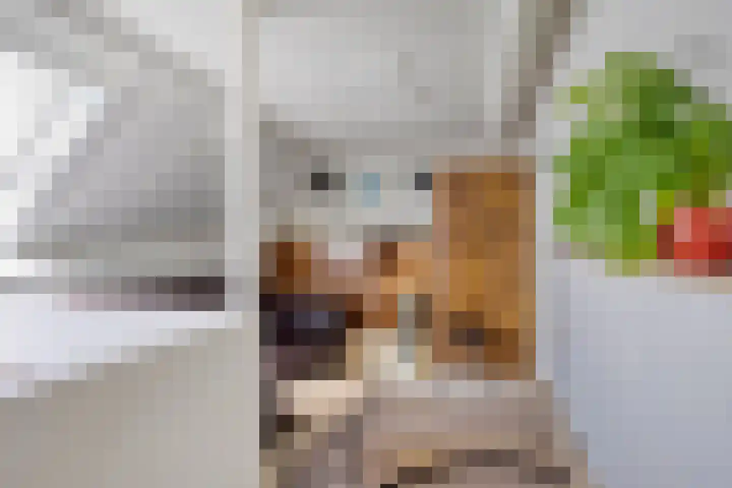 Antilopestraat 32 Rotterdam thumbnail 32