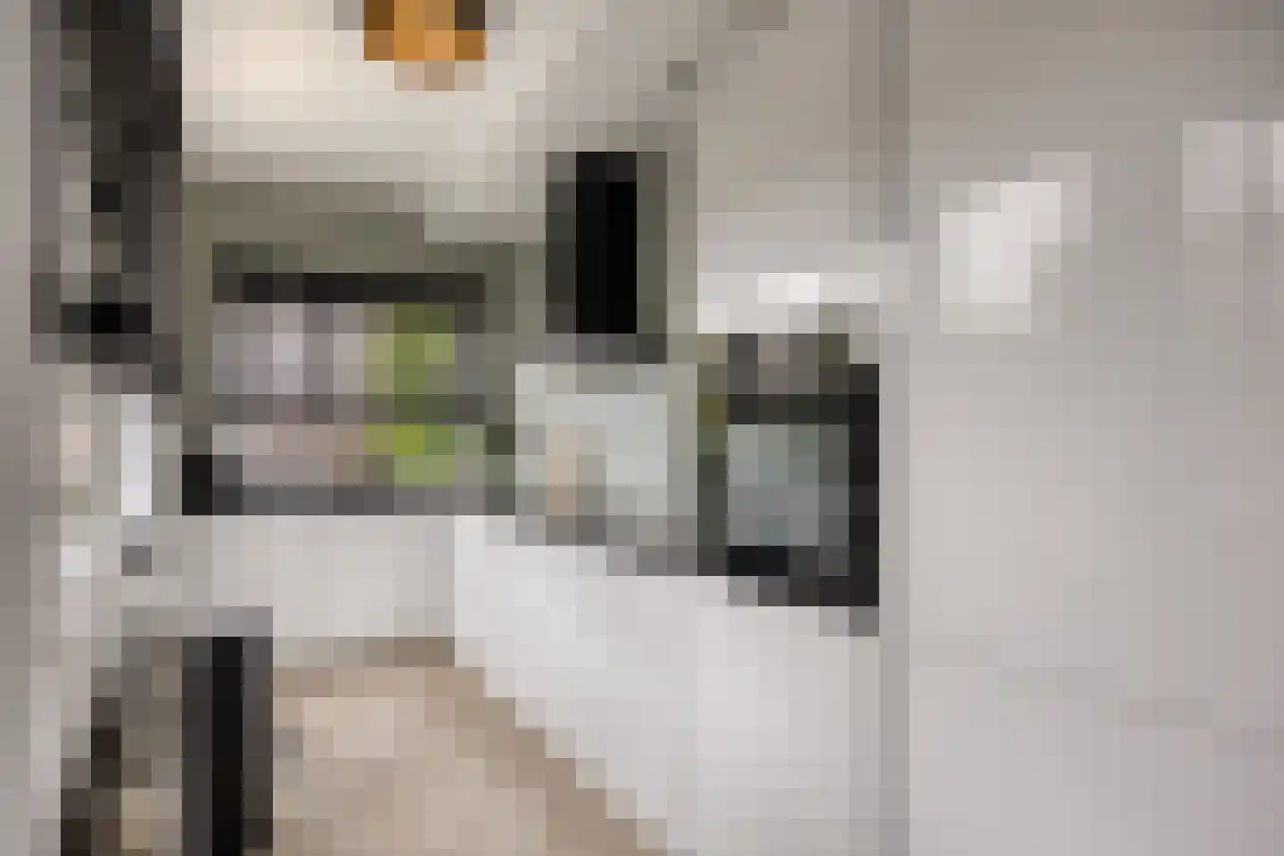 Antilopestraat 4 Rotterdam thumbnail 10