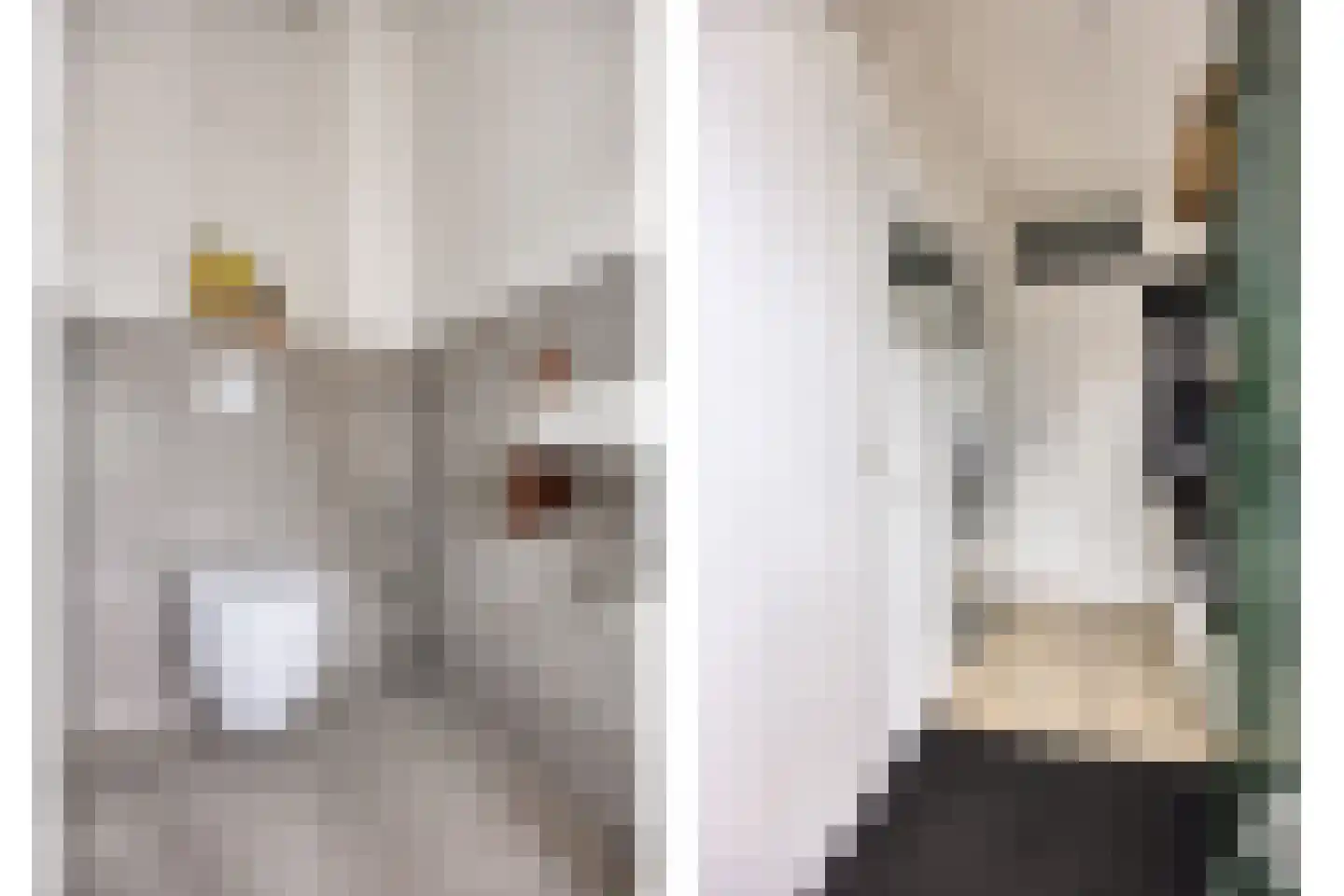 Antilopestraat 4 Rotterdam thumbnail 11