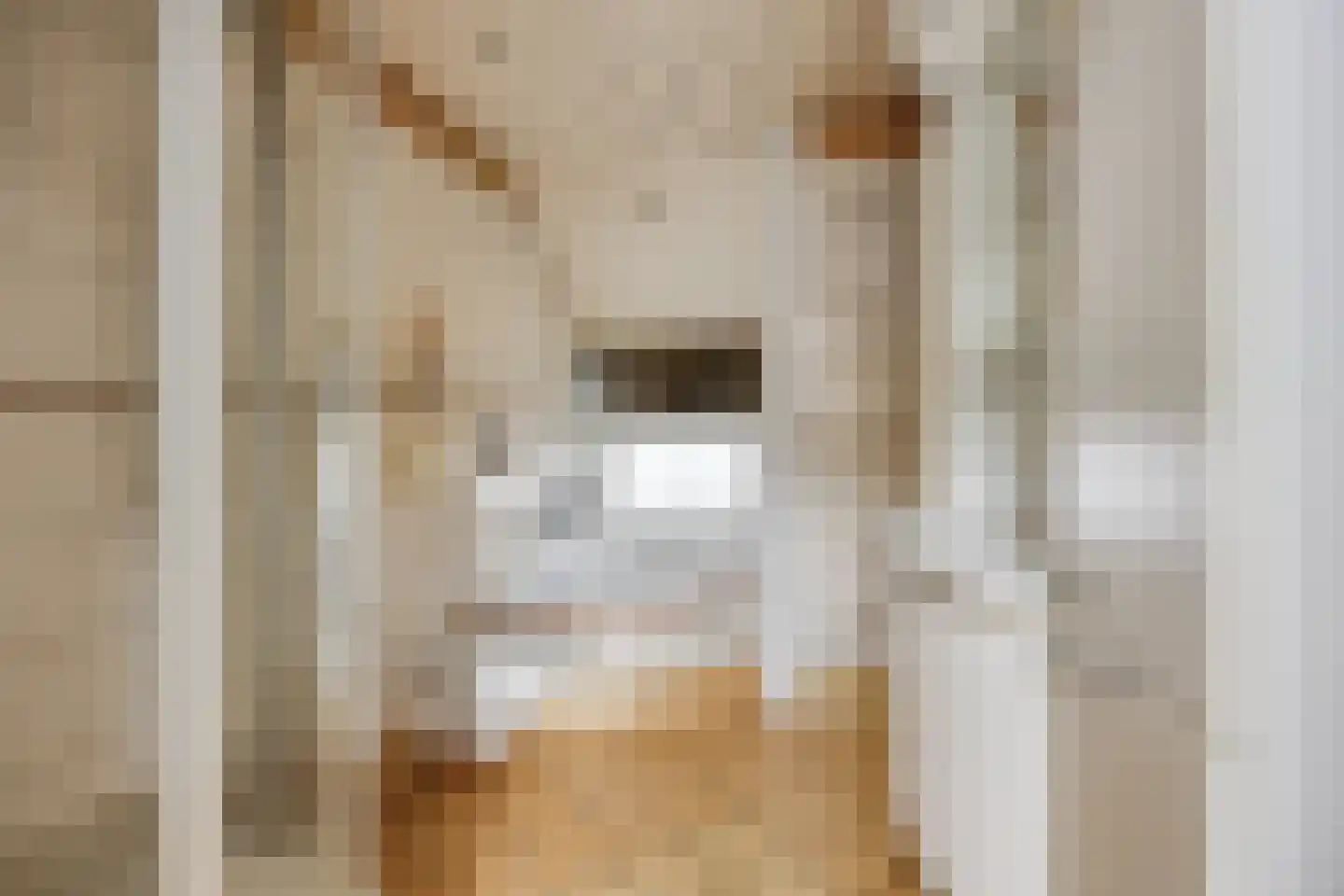 Antilopestraat 4 Rotterdam thumbnail 20