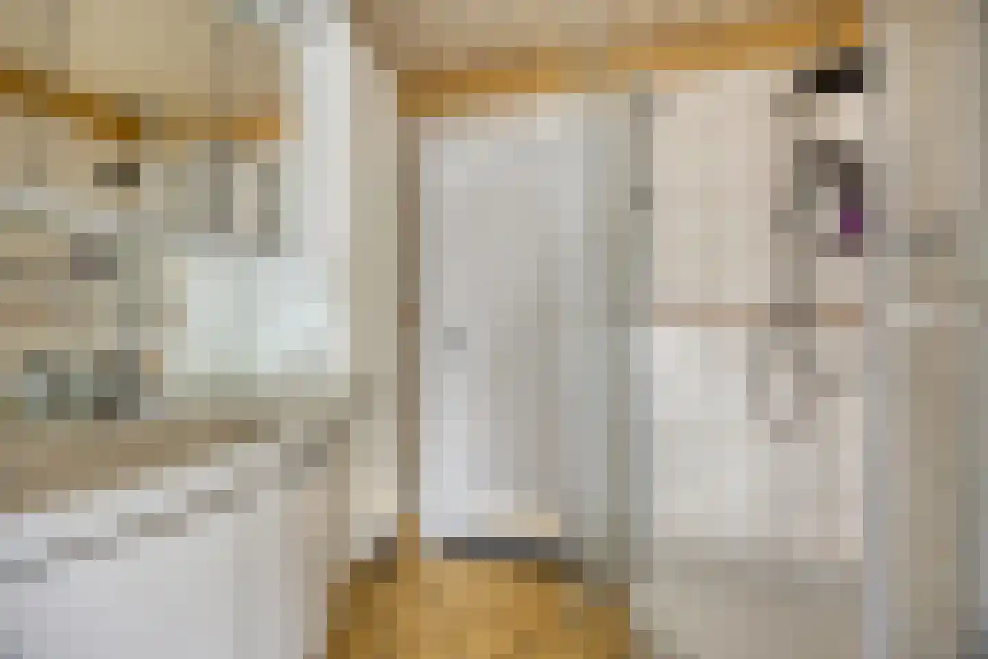 Antilopestraat 4 Rotterdam thumbnail 21