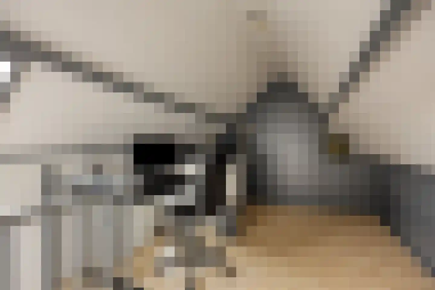 Antilopestraat 4 Rotterdam thumbnail 22