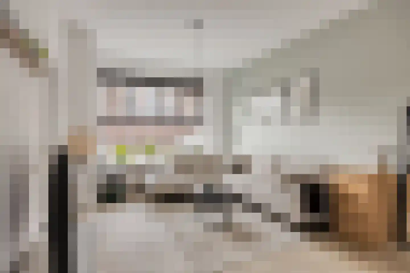 Antilopestraat 4 Rotterdam thumbnail 5