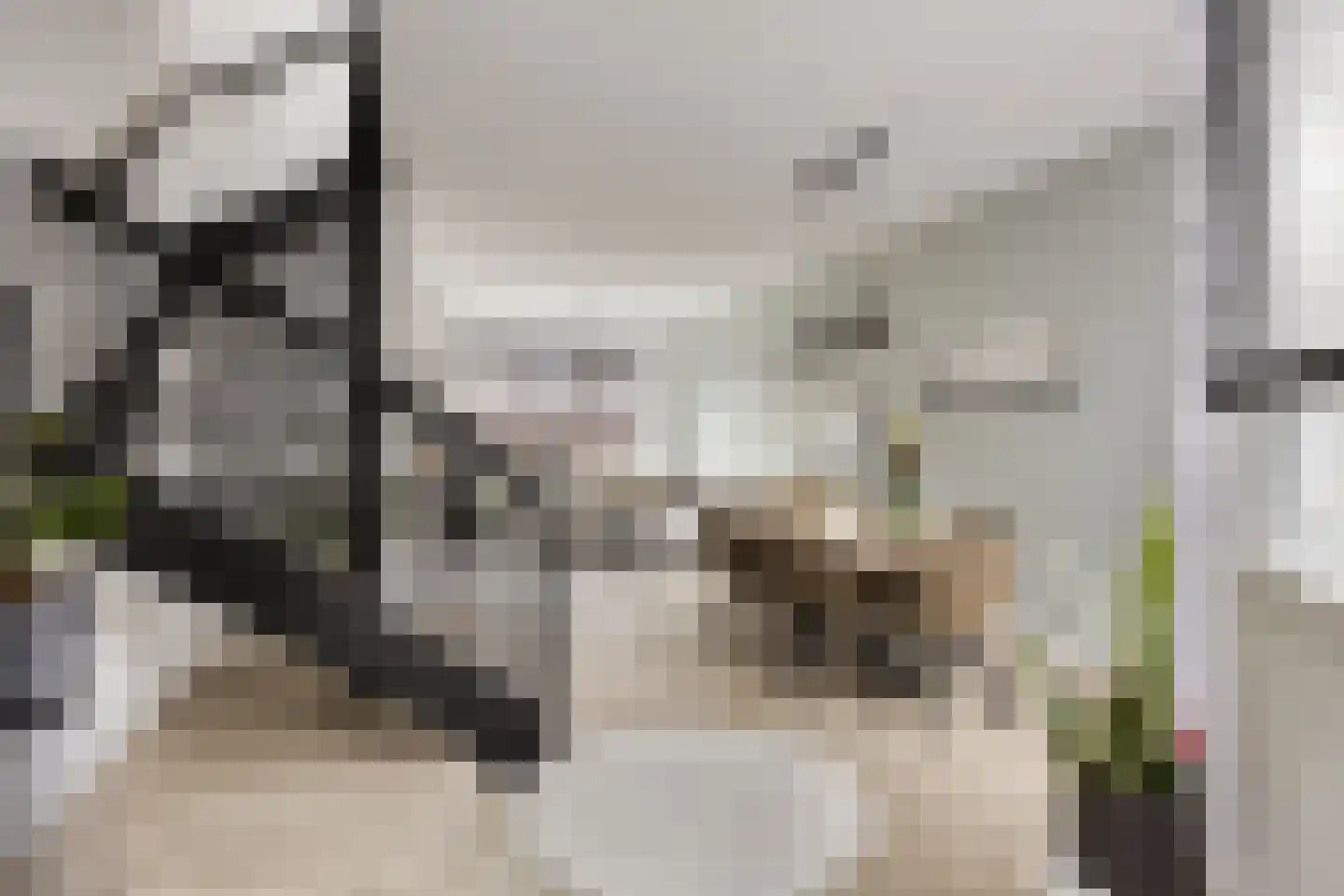 Antilopestraat 4 Rotterdam thumbnail 6