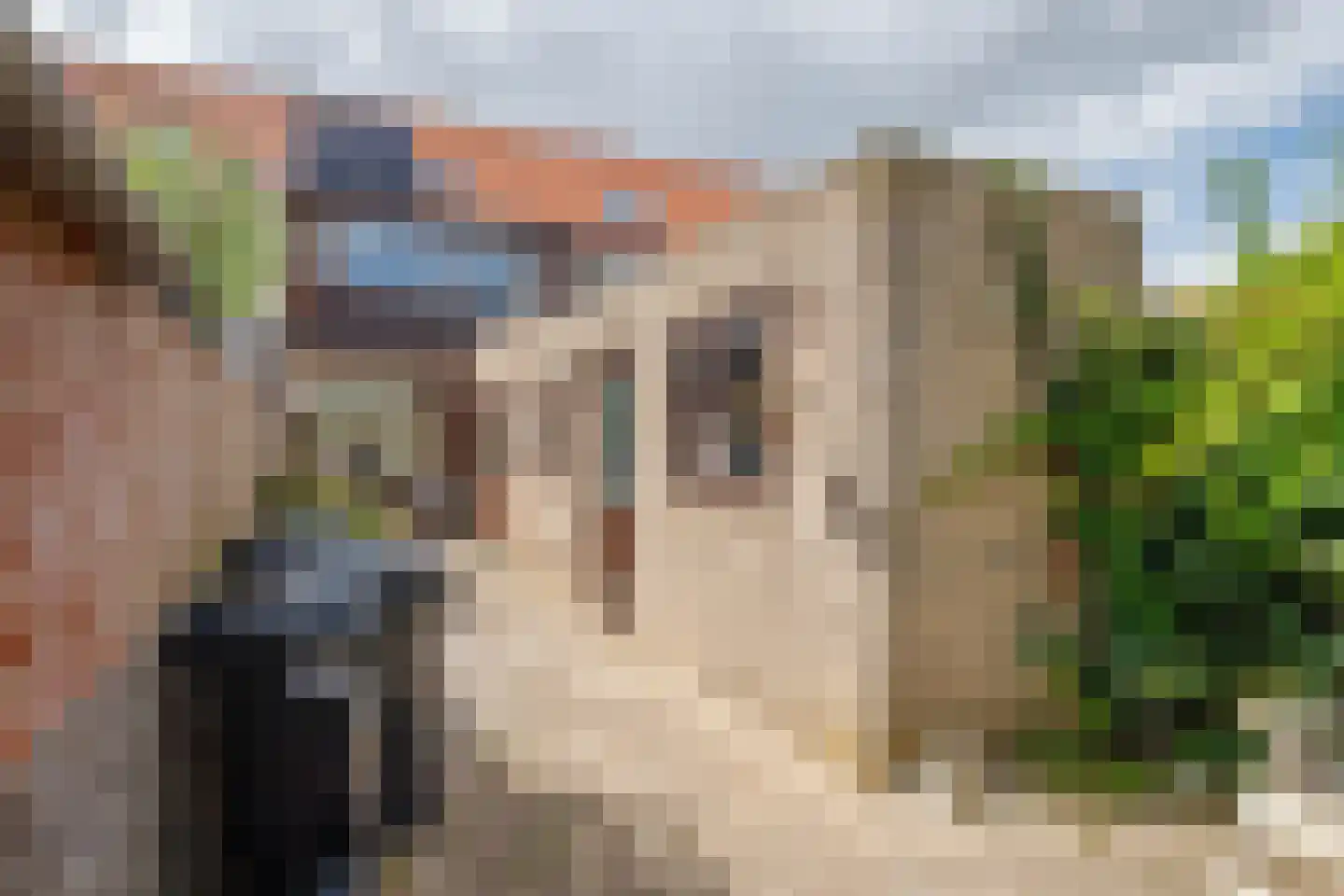 Antilopestraat 59 Rotterdam thumbnail 21