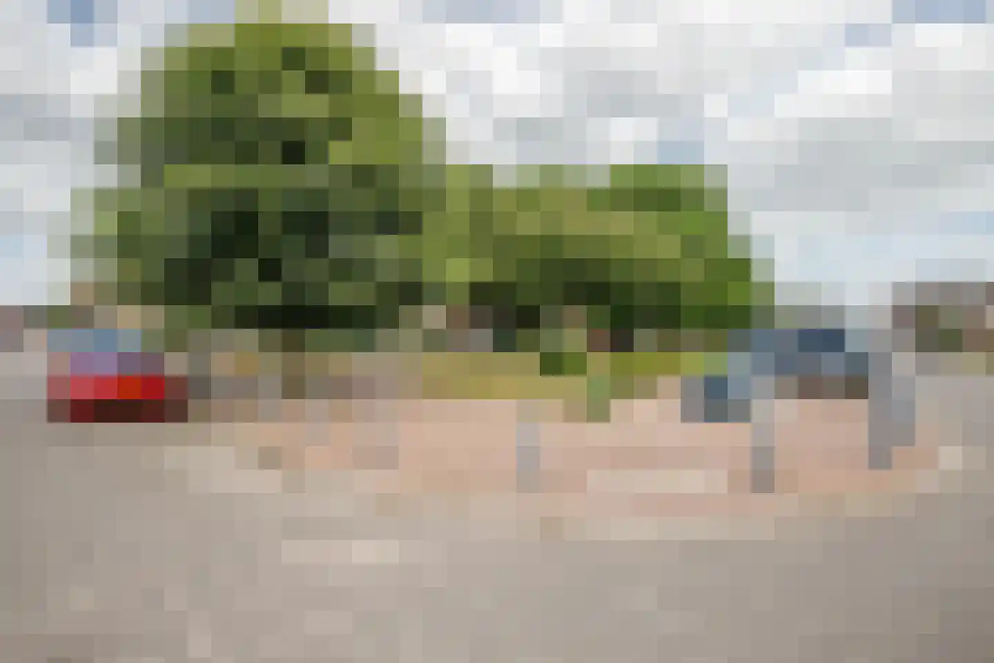 Antilopestraat 59 Rotterdam thumbnail 26